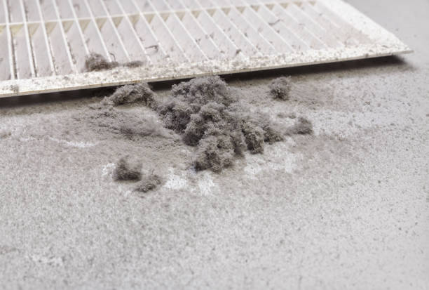 Best HVAC System Cleaning  in Iuka, MS