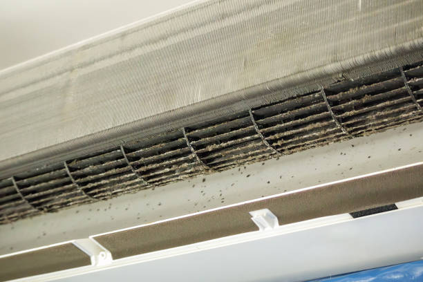 Best Best Air Duct Cleaning Company  in Iuka, MS